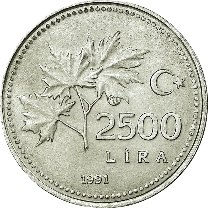 2500 Lira